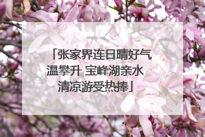 张家界连日晴好气温攀升 宝峰湖亲水清凉游受热捧