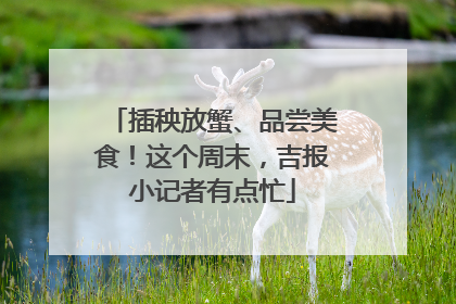 插秧放蟹、品尝美食！这个周末，吉报小记者有点忙