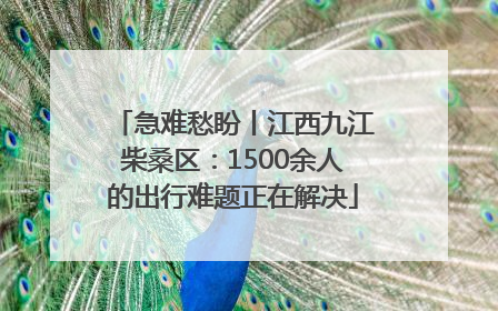 急难愁盼丨江西九江柴桑区：1500余人的出行难题正在解决