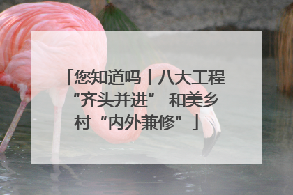 您知道吗丨八大工程“齐头并进” 和美乡村“内外兼修”
