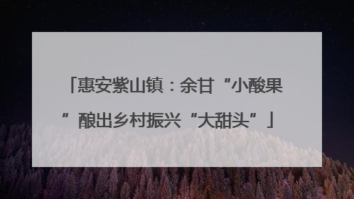 惠安紫山镇：余甘“小酸果”酿出乡村振兴“大甜头”