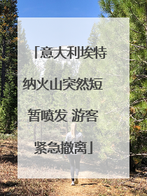 意大利埃特纳火山突然短暂喷发 游客紧急撤离