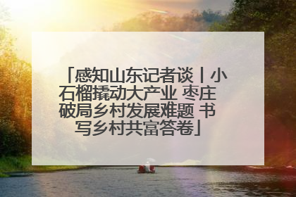 感知山东记者谈丨小石榴撬动大产业 枣庄破局乡村发展难题 书写乡村共富答卷