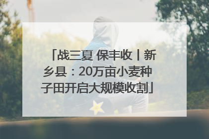 战三夏 保丰收丨新乡县：20万亩小麦种子田开启大规模收割