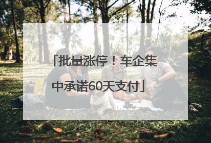 批量涨停！车企集中承诺60天支付