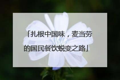 扎根中国味，麦当劳的国民餐饮蜕变之路