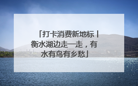 打卡消费新地标丨衡水湖边走一走，有水有鸟有乡愁