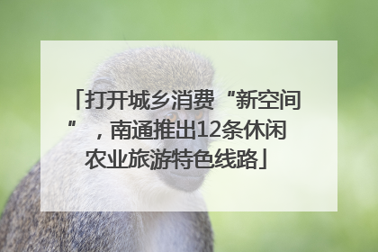 打开城乡消费“新空间”，南通推出12条休闲农业旅游特色线路
