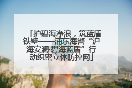 护碧海净浪，筑蓝盾铁壁——浦东海警“沪海安澜·碧海蓝盾”行动织密立体防控网