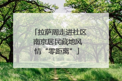 拉萨周走进社区 南京居民藏地风情“零距离”