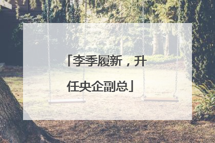 李季履新，升任央企副总