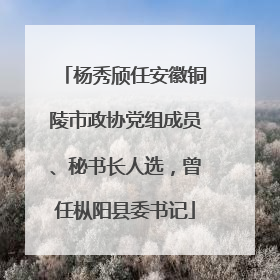 杨秀颀任安徽铜陵市政协党组成员、秘书长人选，曾任枞阳县委书记