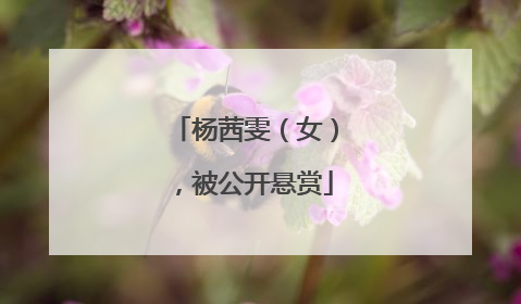 杨茜雯（女），被公开悬赏