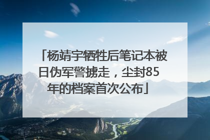 杨靖宇牺牲后笔记本被日伪军警掳走，尘封85年的档案首次公布