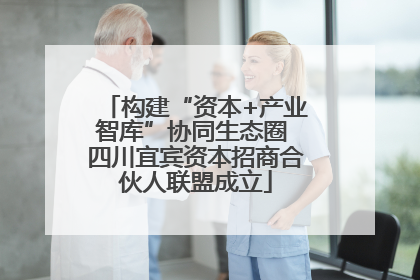 构建“资本+产业智库”协同生态圈 四川宜宾资本招商合伙人联盟成立