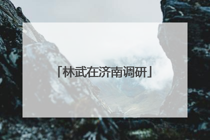 林武在济南调研