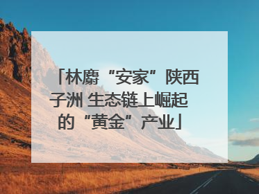 林麝“安家”陕西子洲 生态链上崛起的“黄金”产业