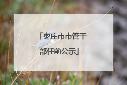 枣庄市市管干部任前公示