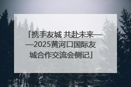 携手友城 共赴未来——2025黄河口国际友城合作交流会侧记