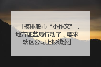 摸排股市“小作文”，地方证监局行动了，要求辖区公司上报线索