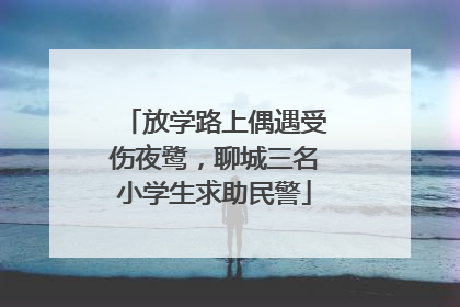 放学路上偶遇受伤夜鹭，聊城三名小学生求助民警