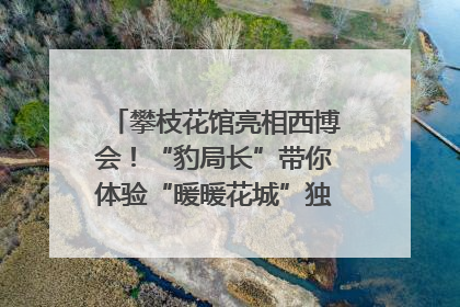 攀枝花馆亮相西博会！“豹局长”带你体验“暖暖花城”独特魅力｜西博视界