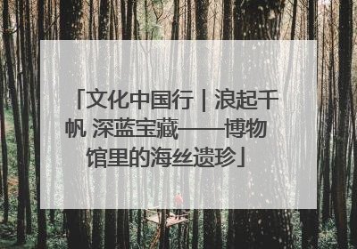 文化中国行｜浪起千帆 深蓝宝藏——博物馆里的海丝遗珍