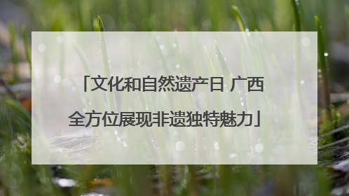 文化和自然遗产日 广西全方位展现非遗独特魅力