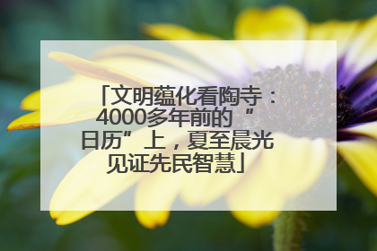 文明蕴化看陶寺：4000多年前的“日历”上，夏至晨光见证先民智慧