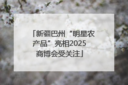 新疆巴州“明星农产品”亮相2025商博会受关注