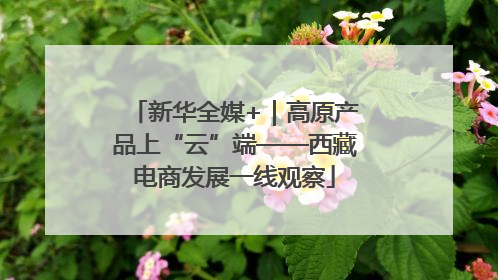 新华全媒+｜高原产品上“云”端——西藏电商发展一线观察