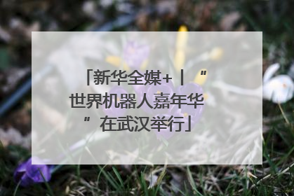 新华全媒+丨“世界机器人嘉年华”在武汉举行