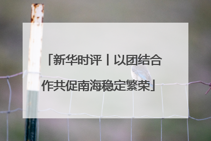 新华时评丨以团结合作共促南海稳定繁荣