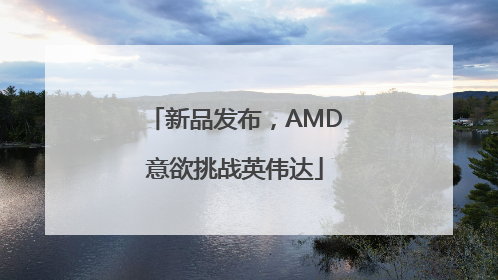 新品发布，AMD意欲挑战英伟达