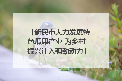 新民市大力发展特色瓜果产业 为乡村振兴注入强劲动力
