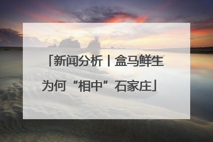 新闻分析丨盒马鲜生为何“相中”石家庄