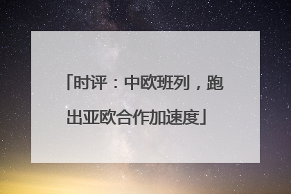 时评：中欧班列，跑出亚欧合作加速度