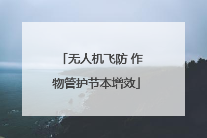 无人机飞防 作物管护节本增效