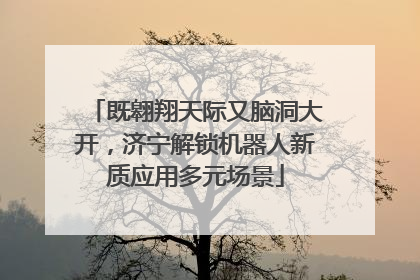既翱翔天际又脑洞大开，济宁解锁机器人新质应用多元场景