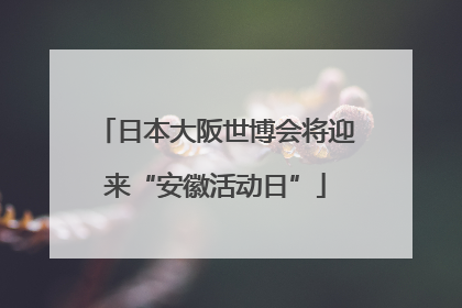 日本大阪世博会将迎来“安徽活动日”