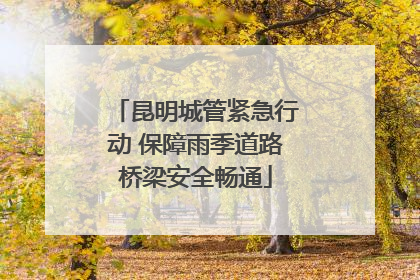 昆明城管紧急行动 保障雨季道路桥梁安全畅通