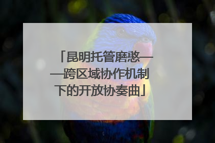 昆明托管磨憨——跨区域协作机制下的开放协奏曲