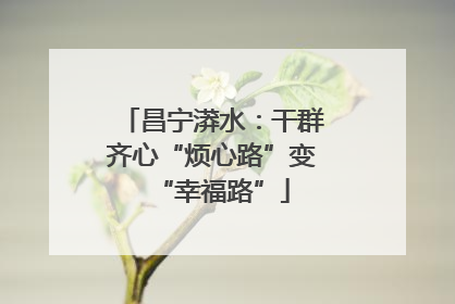 昌宁漭水：干群齐心“烦心路”变“幸福路”