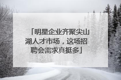 明星企业齐聚尖山湖人才市场，这场招聘会需求真挺多