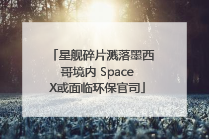 星舰碎片溅落墨西哥境内 SpaceX或面临环保官司