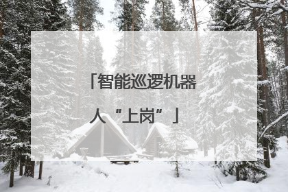 智能巡逻机器人“上岗”