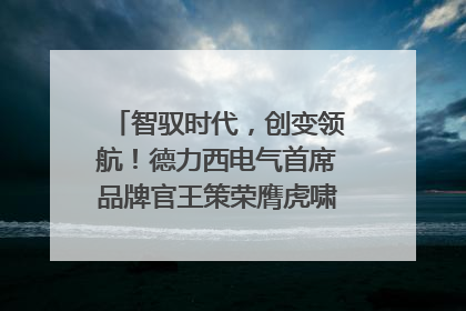 智驭时代，创变领航！德力西电气首席品牌官王策荣膺虎啸奖年度品牌人物