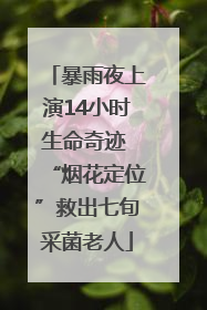 暴雨夜上演14小时生命奇迹 “烟花定位”救出七旬采菌老人