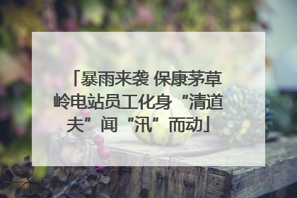 暴雨来袭 保康茅草岭电站员工化身“清道夫”闻“汛”而动