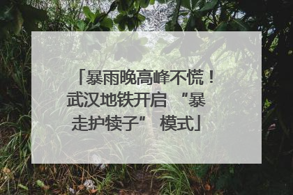 暴雨晚高峰不慌！武汉地铁开启 “暴走护犊子” 模式